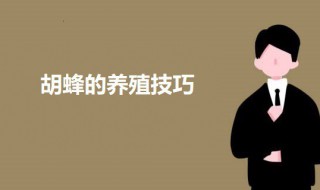 胡蜂的养殖技巧 胡蜂的养殖方法及注意事项