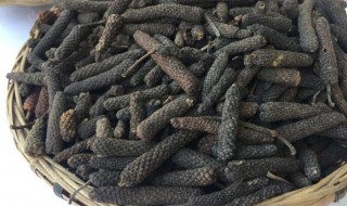 荜拨的功效与作用 荜拨有何功效与作用