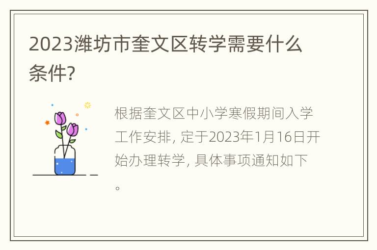 2023潍坊市奎文区转学需要什么条件？