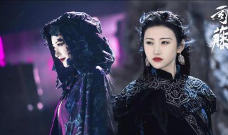 司藤怎么分体的 司藤简介