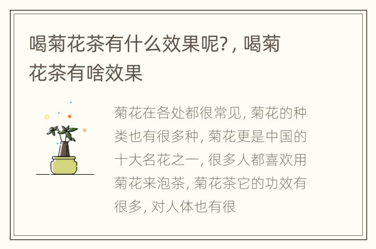 喝菊花茶有什么效果呢？，喝菊花茶有啥效果
