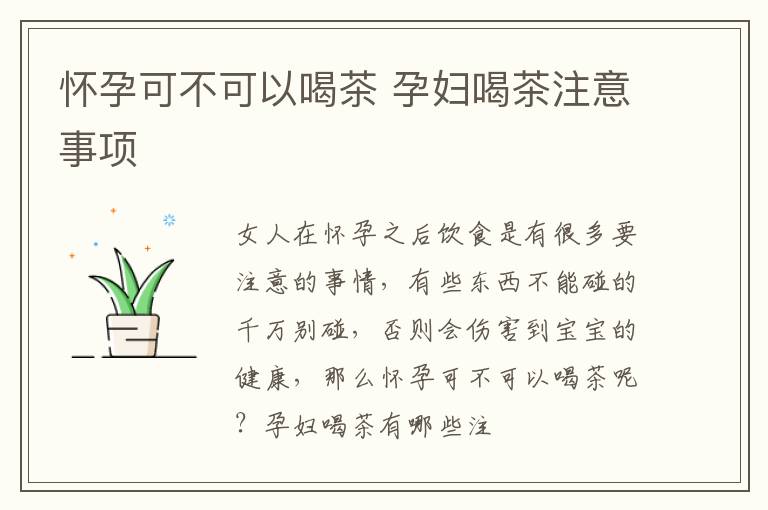 怀孕可不可以喝茶 孕妇喝茶注意事项