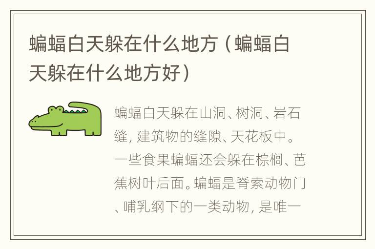 蝙蝠白天躲在什么地方（蝙蝠白天躲在什么地方好）