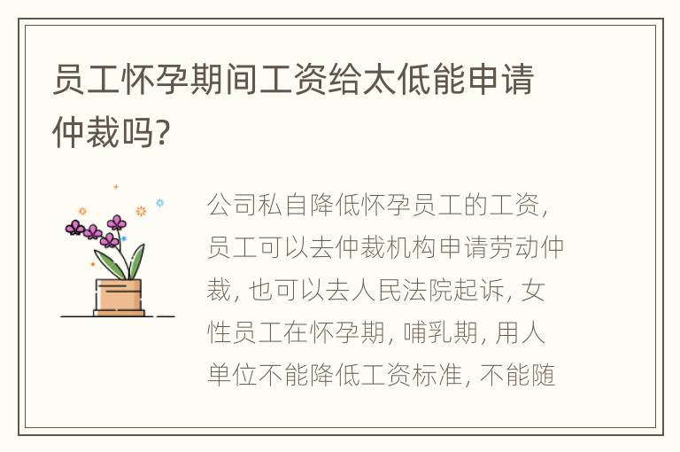 员工怀孕期间工资给太低能申请仲裁吗?