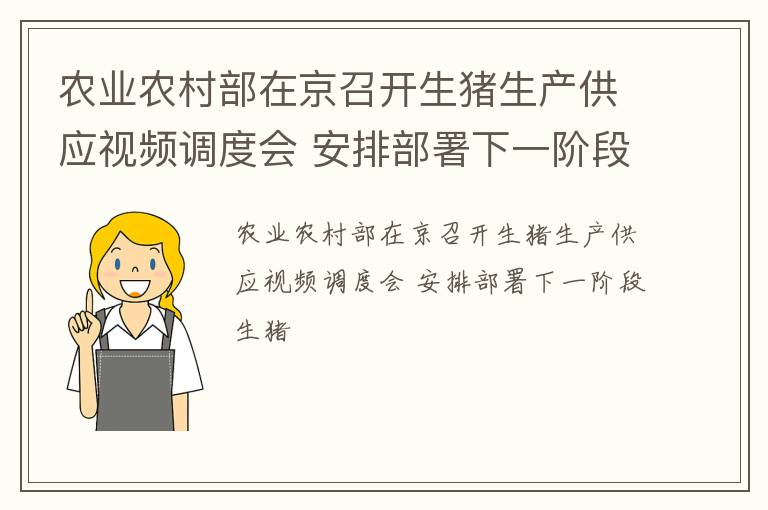 农业农村部在京召开生猪生产供应视频调度会 安排部署下一阶段生猪