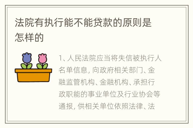 法院有执行能不能贷款的原则是怎样的