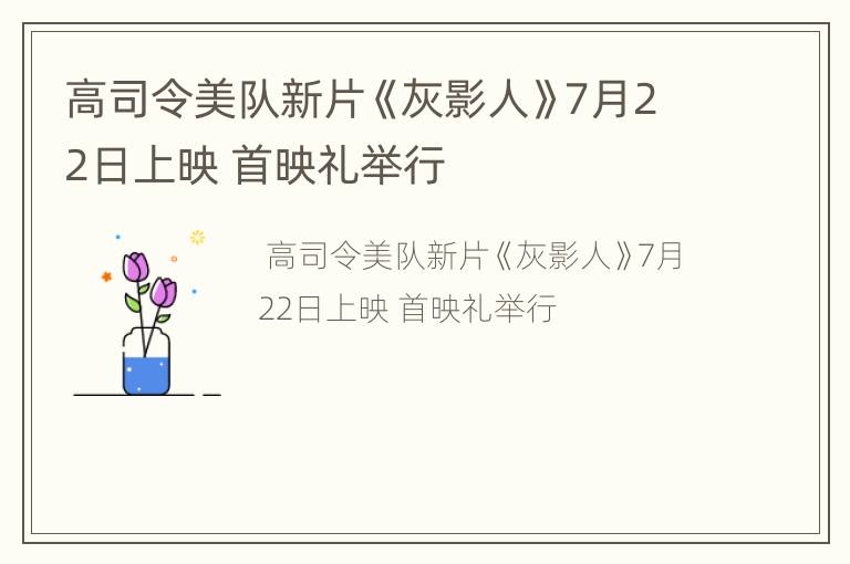 高司令美队新片《灰影人》7月22日上映 首映礼举行
