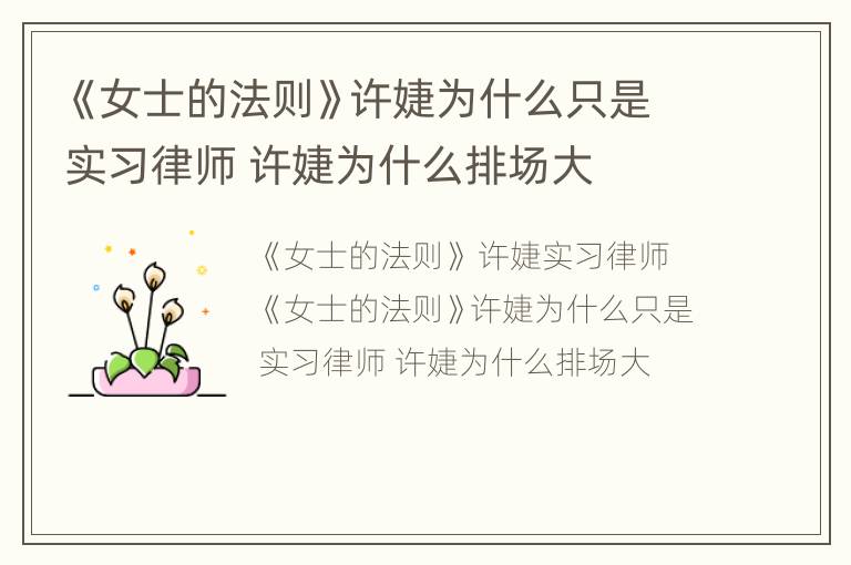 《女士的法则》许婕为什么只是实习律师 许婕为什么排场大