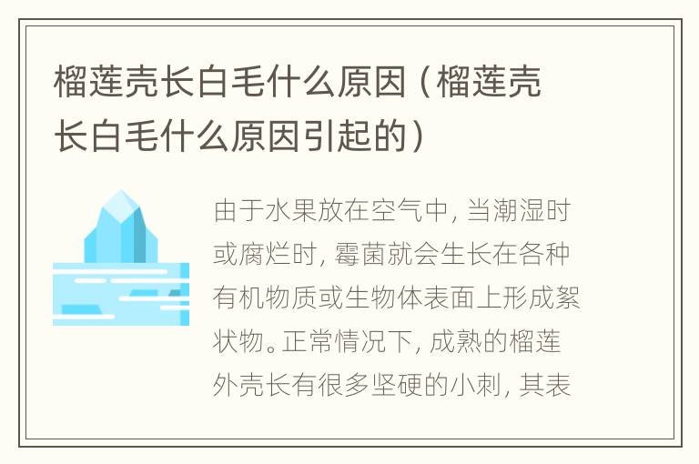 榴莲壳长白毛什么原因（榴莲壳长白毛什么原因引起的）