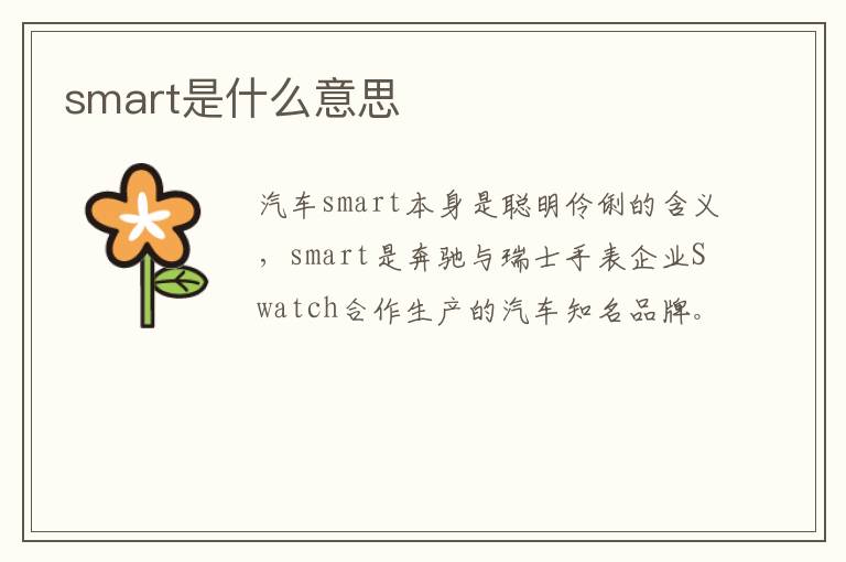 smart是什么意思