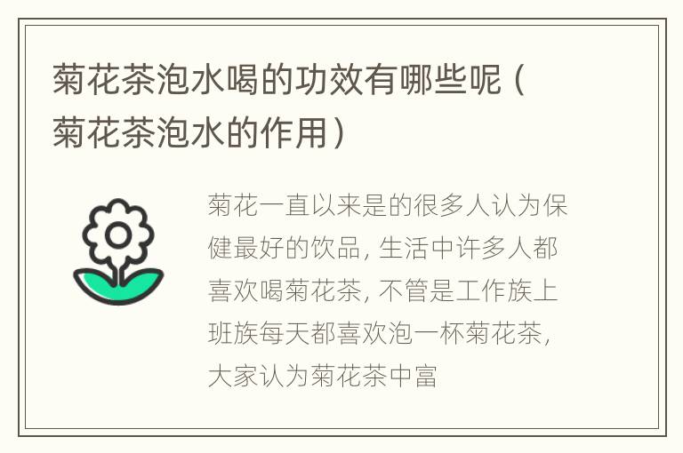 菊花茶泡水喝的功效有哪些呢（菊花茶泡水的作用）