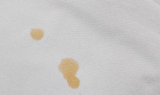 纯棉线衣服去油污最好的方法 纯棉线衣服如何去油污