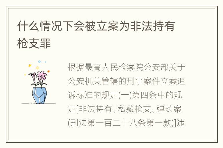 什么情况下会被立案为非法持有枪支罪