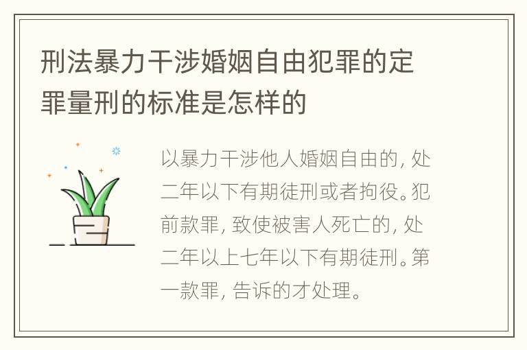 刑法暴力干涉婚姻自由犯罪的定罪量刑的标准是怎样的