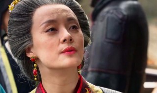赢政的母亲是芈月吗 赢政的母亲是谁