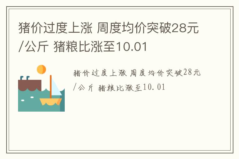 猪价过度上涨 周度均价突破28元/公斤 猪粮比涨至10.01