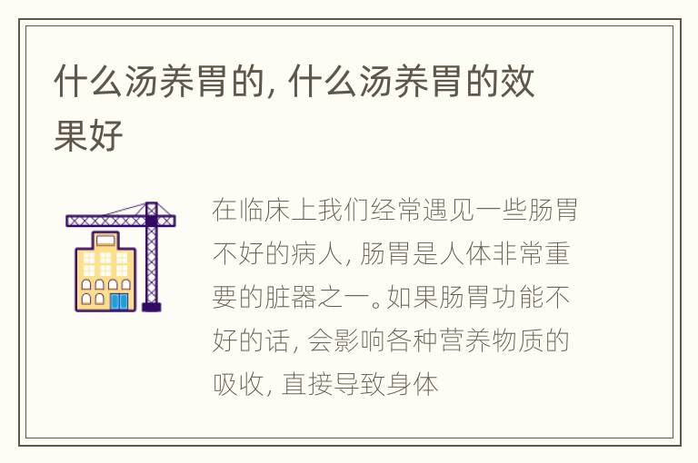 什么汤养胃的，什么汤养胃的效果好