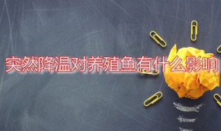 突然降温对养殖鱼有什么影响 养鱼降温过后如何补救