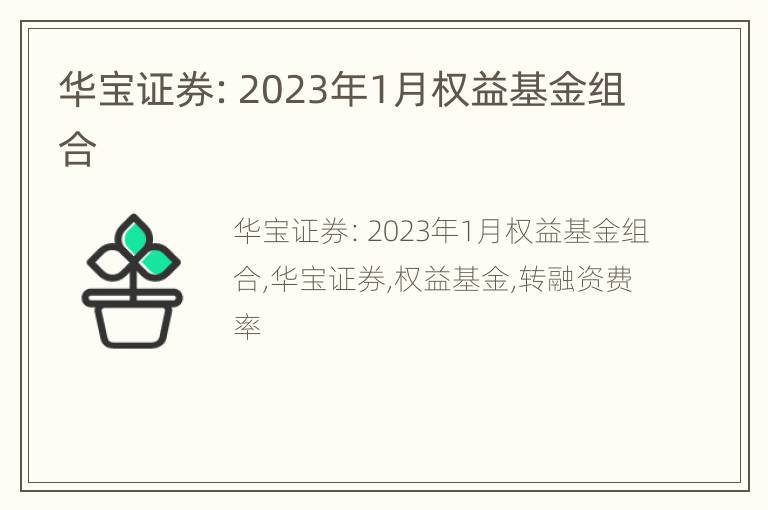 华宝证券：2023年1月权益基金组合