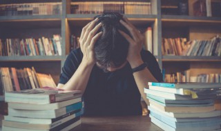 驭的意思 驭字是什么意思