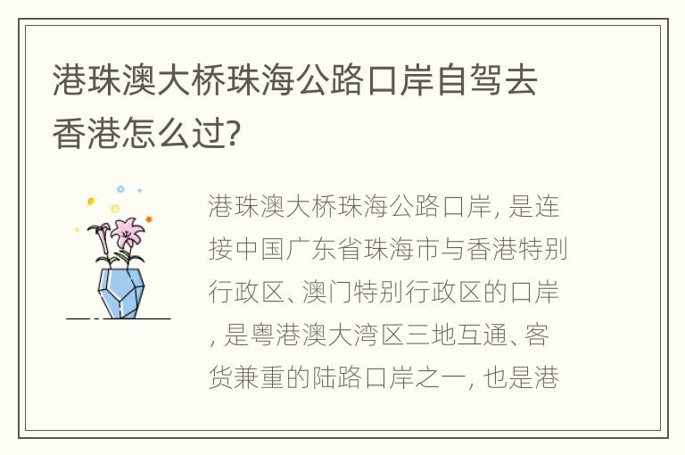 港珠澳大桥珠海公路口岸自驾去香港怎么过？