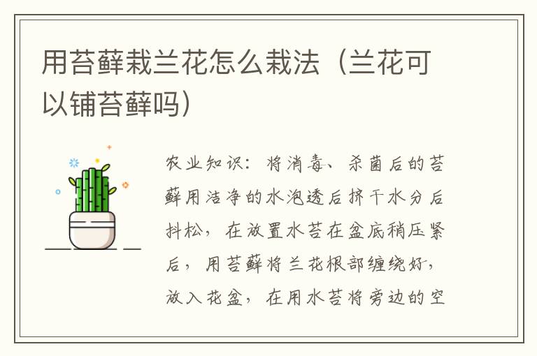 用苔藓栽兰花怎么栽法（兰花可以铺苔藓吗）