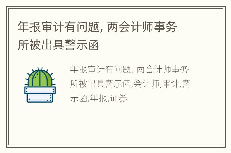 年报审计有问题，两会计师事务所被出具警示函
