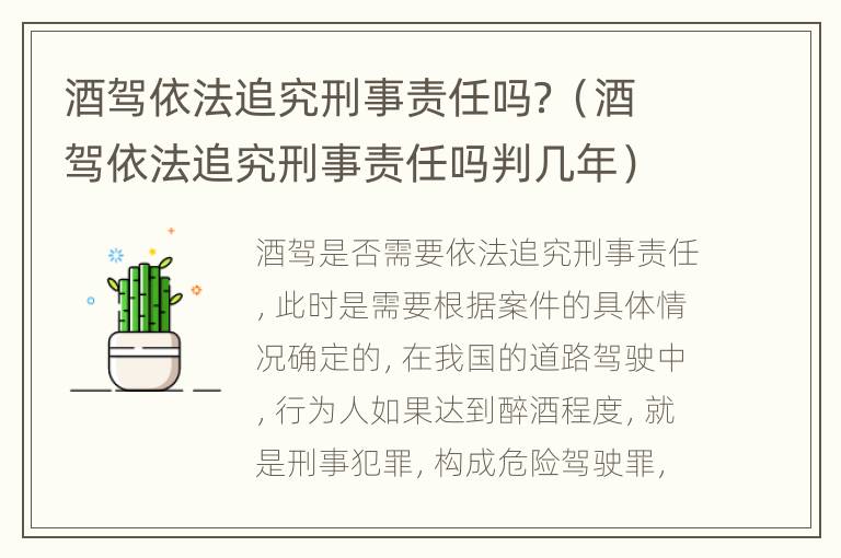 酒驾依法追究刑事责任吗？（酒驾依法追究刑事责任吗判几年）