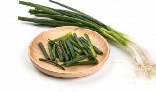 小葱水里种植方法注意事项（小葱水里种植方法注意事项有哪些）
