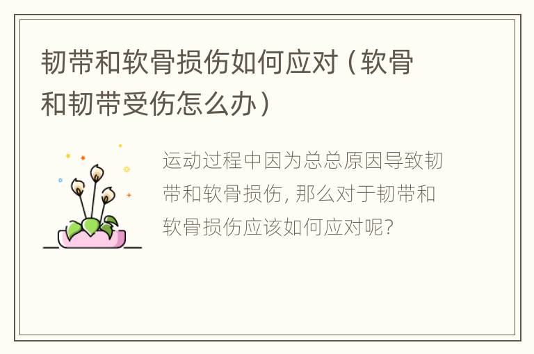 韧带和软骨损伤如何应对（软骨和韧带受伤怎么办）