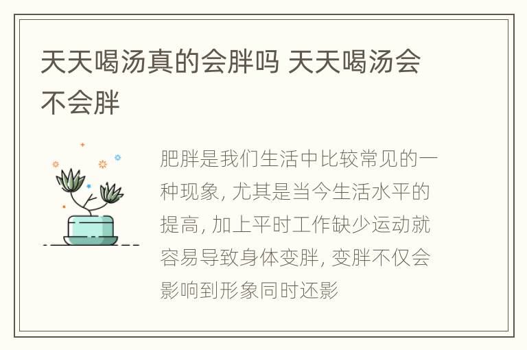 天天喝汤真的会胖吗 天天喝汤会不会胖
