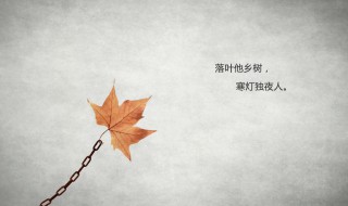 形容孤独无人懂的诗句 有哪些形容孤独无人懂的诗句