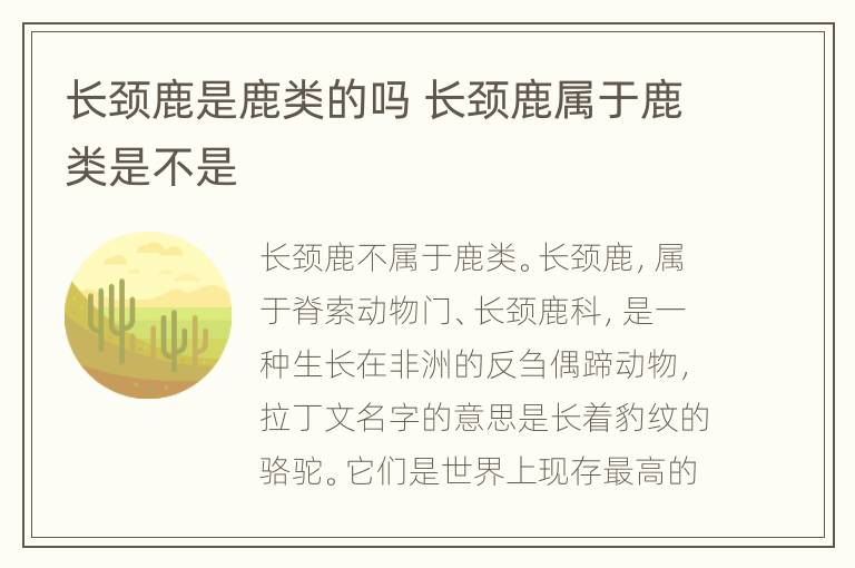 长颈鹿是鹿类的吗 长颈鹿属于鹿类是不是