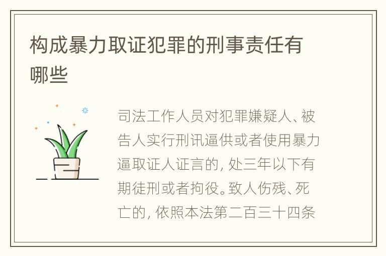 构成暴力取证犯罪的刑事责任有哪些