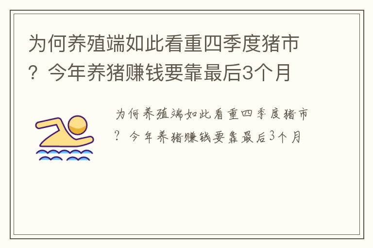 为何养殖端如此看重四季度猪市？今年养猪赚钱要靠最后3个月