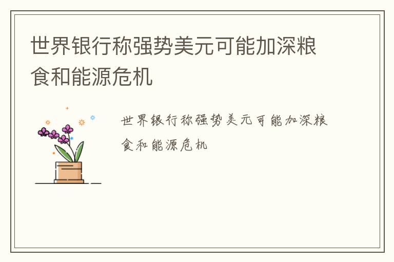 世界银行称强势美元可能加深粮食和能源危机