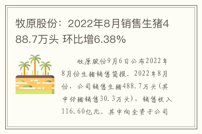 牧原股份：2022年8月销售生猪488.7万头 环比增6.38%