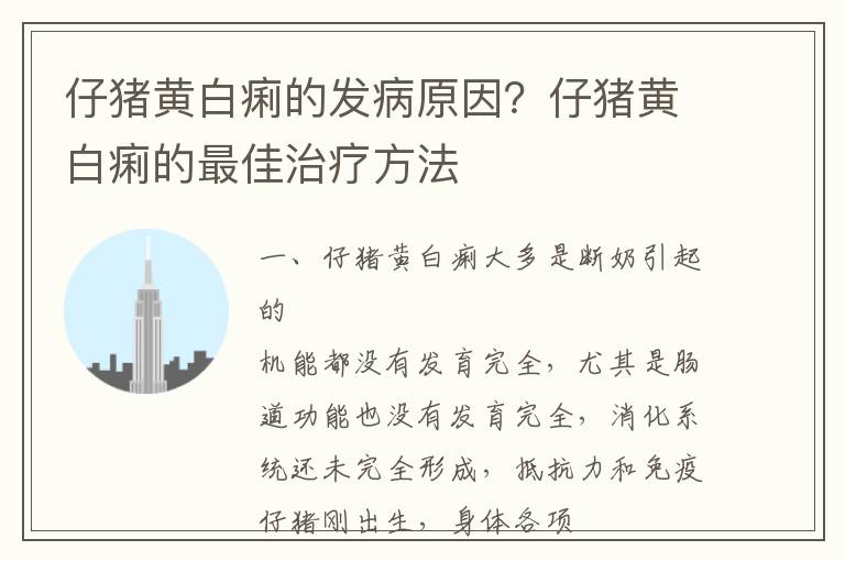 仔猪黄白痢的发病原因？仔猪黄白痢的最佳治疗方法