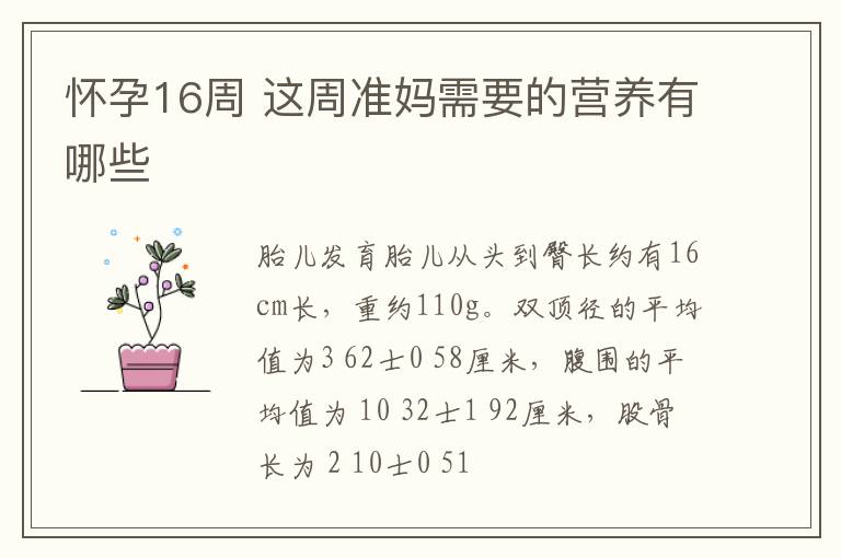 怀孕16周 这周准妈需要的营养有哪些