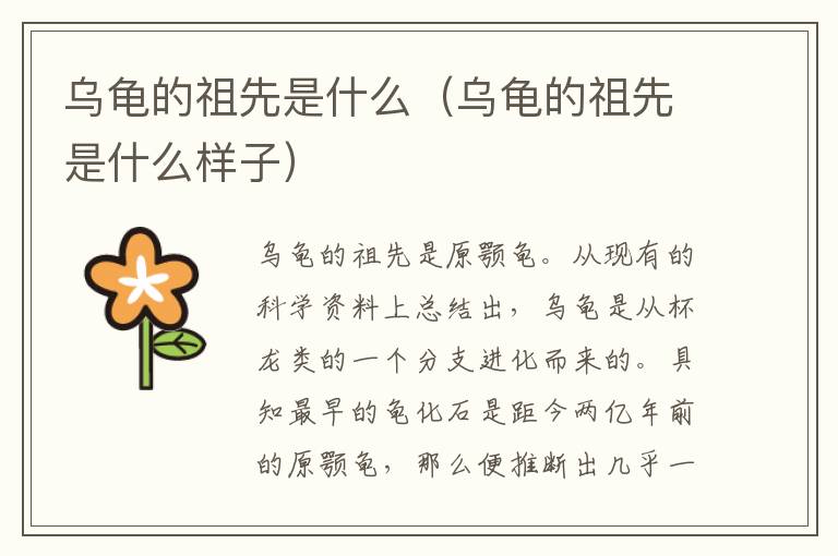 乌龟的祖先是什么（乌龟的祖先是什么样子）