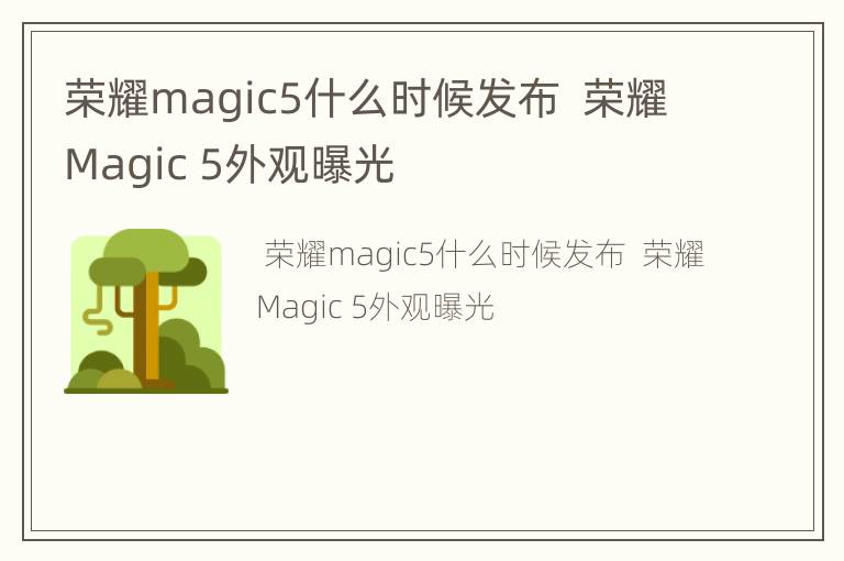 荣耀magic5什么时候发布  荣耀Magic 5外观曝光