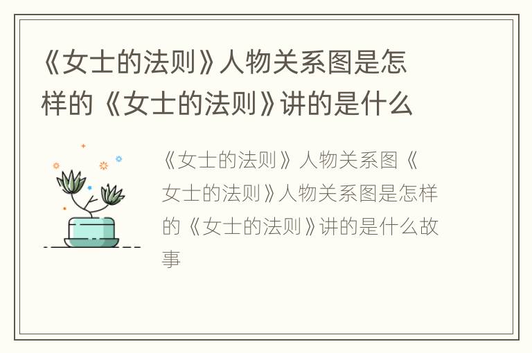《女士的法则》人物关系图是怎样的 《女士的法则》讲的是什么故事