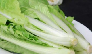 阳台种植小白菜的小技巧 小白菜什么品种好呢