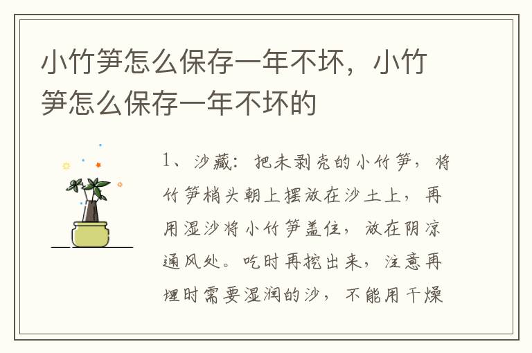 小竹笋怎么保存一年不坏，小竹笋怎么保存一年不坏的