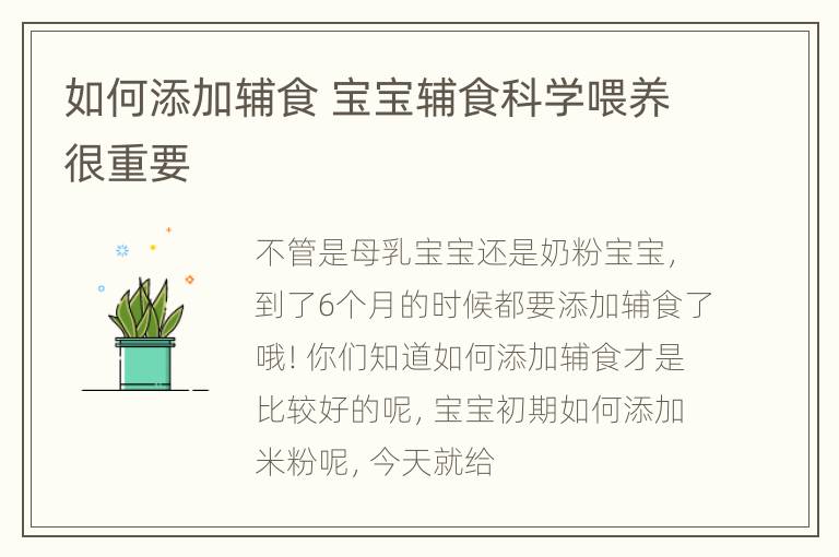 如何添加辅食 宝宝辅食科学喂养很重要