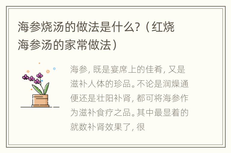 海参烧汤的做法是什么？（红烧海参汤的家常做法）