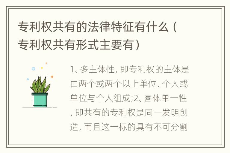 专利权共有的法律特征有什么（专利权共有形式主要有）