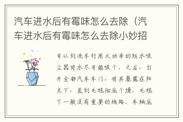 汽车进水后有霉味怎么去除（汽车进水后有霉味怎么去除小妙招）