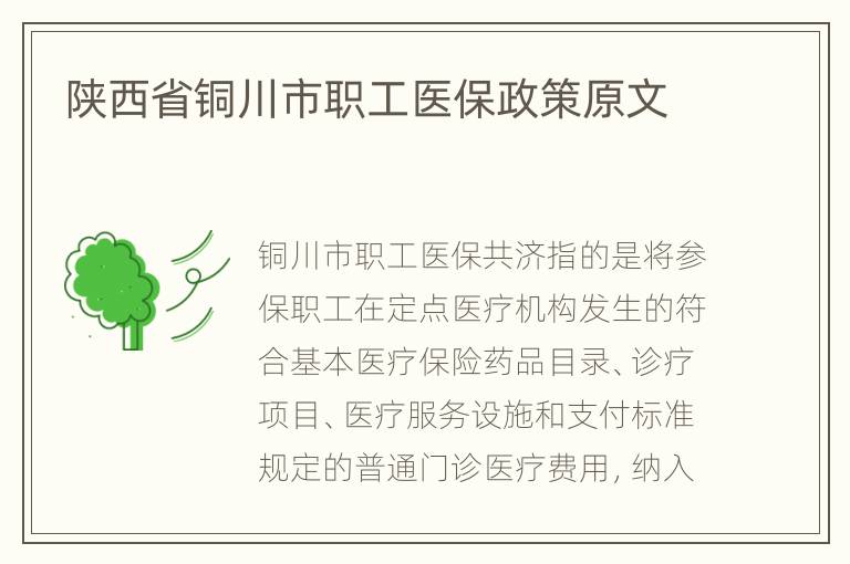 陕西省铜川市职工医保政策原文