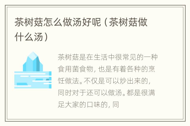 茶树菇怎么做汤好呢（茶树菇做什么汤）